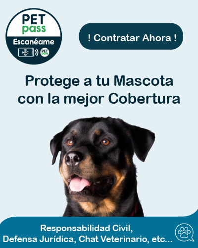 Banner de seguro de mascotas con un hermoso rottweiler